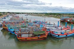 Ứng phó bão số 5, Quảng Ninh tạm dừng cấp phép cho tàu, thuyền ra khơi