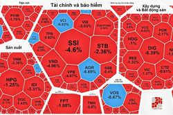 Chứng khoán vẫn giảm 'bất thường', VN-Index mất mốc 1.100 điểm