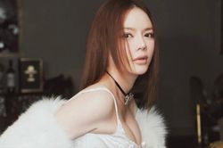 Lý Nhã Kỳ phải mua 5 két sắt mới chứa hết kim cương trong nhà