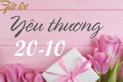 Những lời chúc ngày Phụ nữ Việt Nam 20/10 ý nghĩa và hay nhất 2023