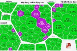 Cổ phiếu chứng khoán, bất động sản quay đầu tăng mạnh
