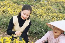 Hải Phòng: 'Nữ tướng' giúp đưa về những mùa vàng bội thu
