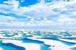 Sa mạc duy nhất trên thế giới có mùa mưa, lượng mưa gấp 300 lần sa mạc Sahara, tôm cá khắp nơi