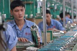 Yếu tố nào giúp lợi nhuận Bóng đèn Phích nước Rạng Đông tăng 64%?