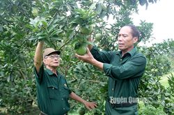 Phát huy truyền thống nghĩa tình