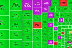 VN-Index 'hồi sức', cổ phiếu chứng khoán và bất động sản lại đua tím