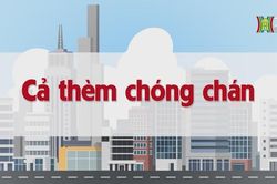Cả thèm chóng chán | Chuyện quanh ta | tập 188 | 19/10/2023