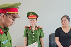 Bắt nữ giám đốc chiếm đoạt hơn 35 tỷ đồng tiền thuế