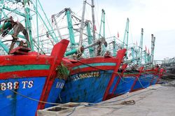 Nghệ An tổng kiểm tra, rà soát số lượng và hiện trạng tàu cá trên địa bàn