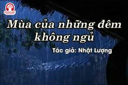 Tản văn hay: Mùa của những đêm không ngủ