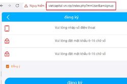 Ngân hàng TMCP Bản Việt bị giả mạo trang web, thương hiệu