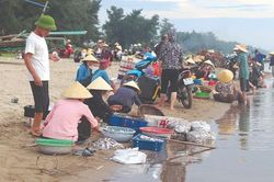 Nhộn nhịp chợ cá Quảng Nham