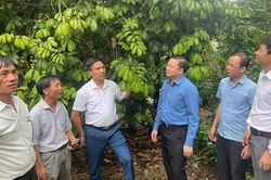 Vĩnh Phúc: Học tập, trao đổi kinh nghiệm về công tác quản lý, chỉ đạo thực hiện Chương trình MTQG 1719