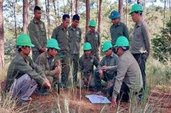 Chi trả dịch vụ môi trường rừng ở Lâm Đồng: Cải thiện sinh kế, nâng cao thu nhập cho người làm nghề rừng