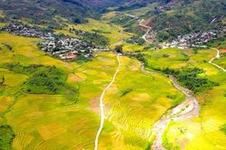 Cảnh thiên nhiên cao nguyên cùng ruộng bậc thang bên đỉnh Ngọc Linh đẹp nao lòng
