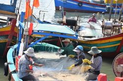 Gỡ 'thẻ vàng' IUU: Nỗ lực sắp thành hiện thực?
