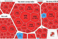 Khối ngoại 'rót' hơn 1.000 tỷ đồng vào cổ phiếu Vinhomes (VHM)