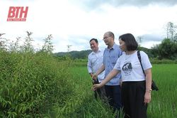 Thúc đẩy HTX phát triển hiệu quả, bền vững (Bài 2): Nhiều tồn tại trong hoạt động của khu vực kinh tế tập thể