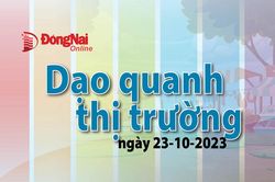 Dạo quanh thị trường ngày 23-10-2023