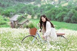 Say đắm vẻ đẹp thiếu nữ Hà Thành bên vườn cúc họa mi đầu mùa