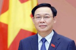 Tạo xung lực mạnh mẽ đưa quan hệ Việt Nam-Argentina sang giai đoạn phát triển tươi đẹp mới