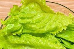 7 nhóm người nên tránh xa rau xà lách kẻo 'rước thêm bệnh'
