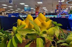 Thị phần quả xoài của Việt Nam trong tổng lượng nhập khẩu của Hàn Quốc tăng