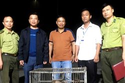 Một hộ dân giao nộp 2 cá thể khỉ thuộc danh mục nguy cấp, quý hiếm cho Kiểm lâm tỉnh