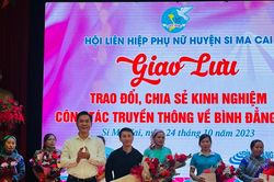 Giao lưu trao đổi, chia sẻ kinh nghiệm công tác truyền thông về bình đẳng giới