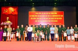 Hội Nạn nhân chất độc da cam/dioxin tỉnh phát động thi đua