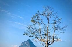 Về với Na Hang