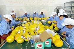 Hòa Bình hướng đến trung tâm ứng dụng nông nghiệp công nghệ cao
