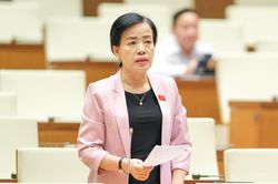 ĐBQH: 'Có cần thiết bỏ ra 400 tỷ để làm thêm 1 bộ sách giáo khoa mới?'