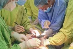 Trèo cây hái cà na, người phụ nữ rơi thẳng xuống cọc gỗ