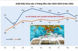 Xuất khẩu thủy sản có thể đạt 9 tỷ USD cả năm