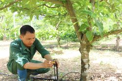 Lạng Sơn chuyển đổi số, phát triển du lịch nông thôn