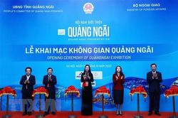 Giới thiệu tiềm năng của Quảng Ngãi tới các nhà đầu tư quốc tế lớn