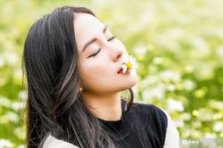 Thiếu nữ khoe dáng bên cúc họa mi đầu mùa