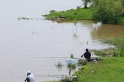 Câu cá hoang dã cuối thu, nước cạn hay nước sâu? Tốt nhất bạn nên chọn vị trí câu cá như thế này, cả cá sâu và cá cạn đều cắn