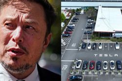 Elon Musk: Làm việc tại nhà là đang 'tách rời khỏi thực tế'