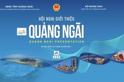 Quảng Ngãi giới thiệu tiềm năng, cơ hội thu hút thương mại - đầu tư