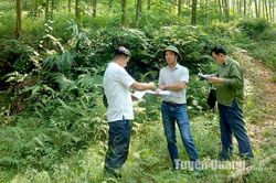Tuyên Quang trồng được gần 5,3 triệu cây xanh