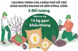 Được hỗ trợ gạo, người dân yên tâm bảo vệ rừng