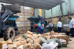 TP Hồ Chí Minh: Quản lý thị trường thu nộp ngân sách hơn 73 tỷ đồng