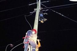 Đang cắt trộm dây điện, người đàn ông bị điện giật tử vong