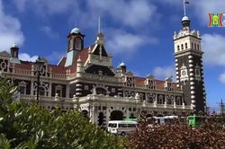 Độc đáo nhà ở xã hội cao cấp New Zealand