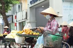 Gần 50% lao động phi chính thức có thu nhập thấp hơn lương tối thiểu vùng