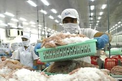 Dự báo xuất khẩu thủy sản cán đích 9 tỷ USD