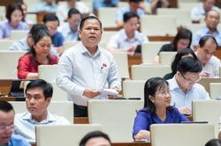 Đại biểu Quốc hội: Rủi ro từ các chung cư mini do 'kẽ hở' trong luật