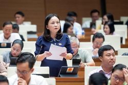 ĐBQH Cầm Thị Mẫn (Thanh Hóa): Quy định rõ cơ chế, chính sách về tài chính để phục hồi các dòng sông